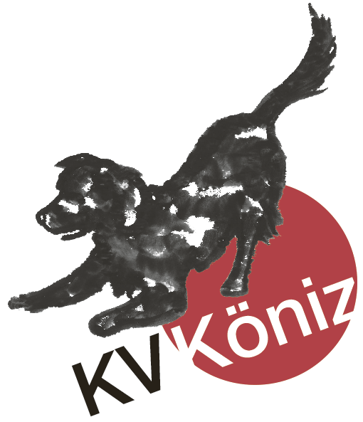 KV Köniz Webseite in Bearbeitung